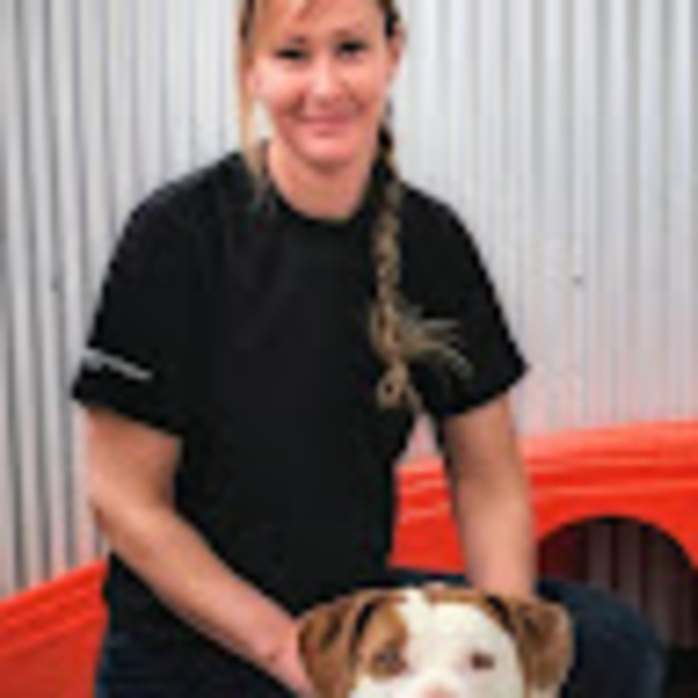 Meet your Posher, Ahmia